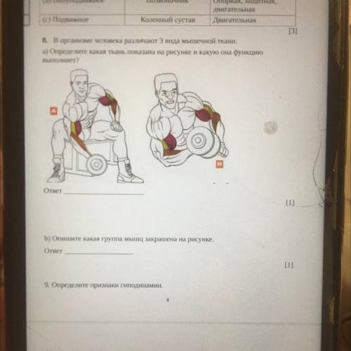 8. В организме человека различают 3 вида мышечной ткани. а) Определите какая ткань показана на рисун