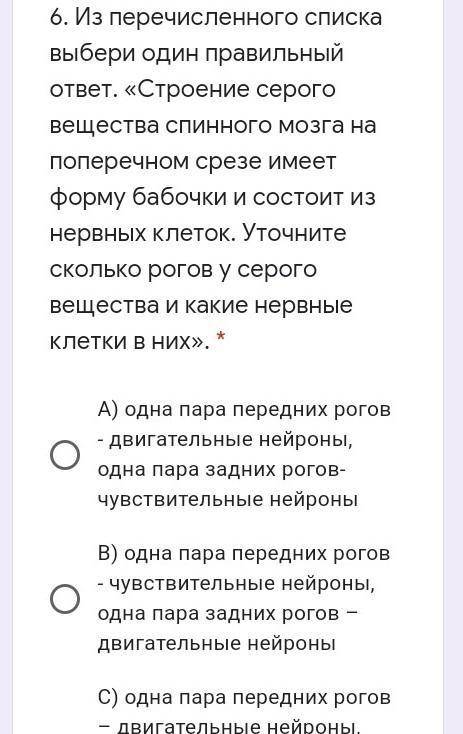 Пара боковых рогов – чувствительные нейроны Д) одна пара передних рогов-все виды нейронов, одна пара