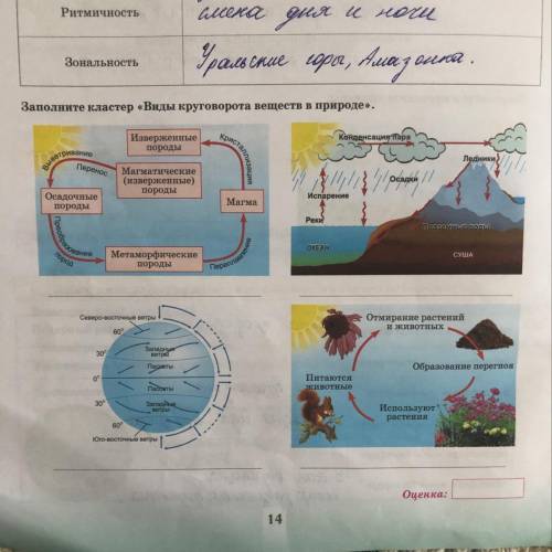 Заполните кластер «Виды круговорота веществ в природе». побыстрому