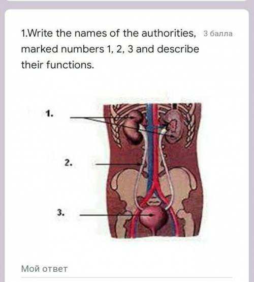 1.Write the names of the authorities, marked numbers 1, 2, 3 and describe their functions.​