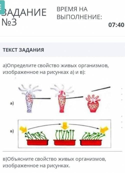 III хЗАДАНИЕ ВРЕМЯ НАВЫПОЛНЕНИЕ:No307:40ТЕКСТ ЗАДАНИЯа)Определите свойство живых организмов,изображе