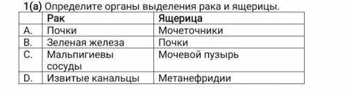 1(а) Определите органы выделения рака и ящерицы. РакЯщерицаА.ПочкиМочеточники В.Зеленая железаПочкиС