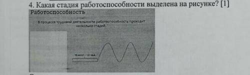 Какая стадия работа выделена на ресунке​