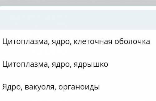 Назовите 3 главных части любой клетки​