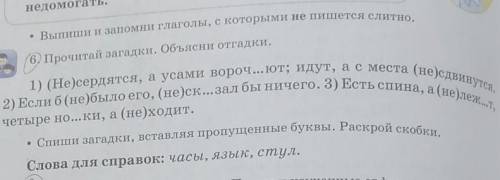 (6) Прочитай загадки. Объясни отгадки. 1) (Не)сердятся, а усами вороч...ют; идут, а с места (не)сдви