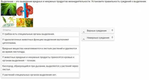 Выделение – это выведение вредных и ненужных продуктов жизнедеятельности. Установите правильность су