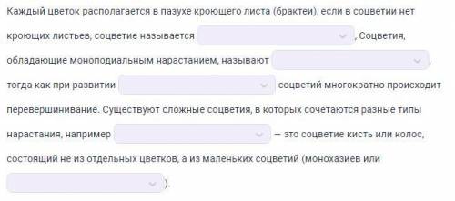 Вставьте в текст пропущенные слова.