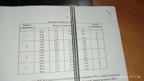 Используя таблицу генетического кода, восстановить последовательность аминокислот в белке, информаци