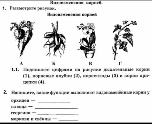 чекните профиль и посмотрите часть 2 там больше ​