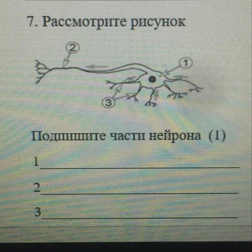 ПОДПИШИТЕ ЧАСТИ НЕЙРОНА СПАМ-БАН