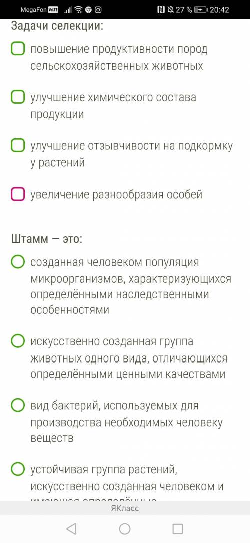 , так ли я сделала!? И что не сделала или сделала неправильно