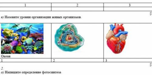 В) Назовите уровни организации живых организмов. Океан 1 2 3