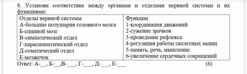 8. Установи соответствие между органами и отделами нервной системы и их функциями: Отделы нервной си