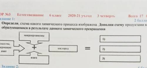 Это сор по естествознанию главный мозг заметь ​