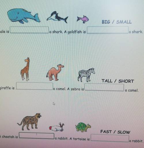 Complete with the comparative and superlative forms. BIG / SMALLbiggest- A whale isa shark. A goldfi