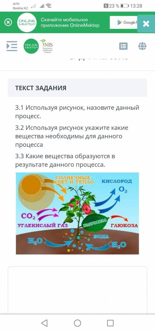 , СОЧ ПО ЕСТЕСТВОЗНАНИЮ 3 ЧЕТВЕРТЬ