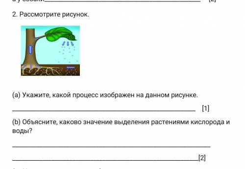 Рассмотрите рисунок. (а) Укажите, какой процесс изображен на данном рисунке. [1]​