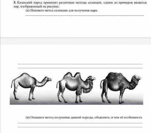 (а) Назовите метод селекции