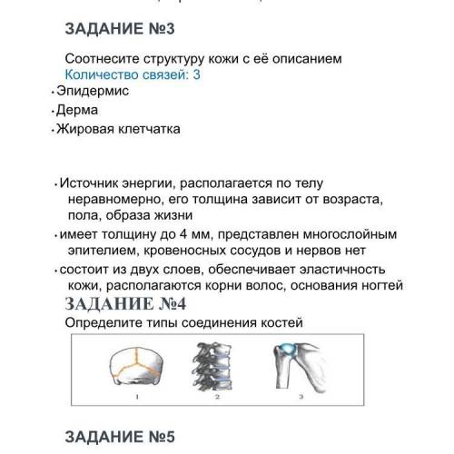 Соотнесите структуру кожи с ее описанием количество соррр