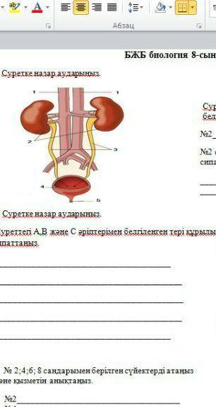 1.суреттегы зэр шыгару жуйесынын номер 2 санымен белгыленген мушесын атаныз. 2.номер 2 санымен берыл