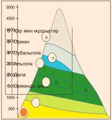 Таудын етегындегы кызыл туспен ерекшеленген белдеудын калыптасуын тусындырыныз.​