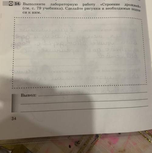 O 54. Выполните лабораторную работу «Строение дрожжей» (см. с. 79 учебника). Сделайте рисунки и необ