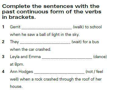 Complete the sentences with the past continuous form of the verbs in brackets.