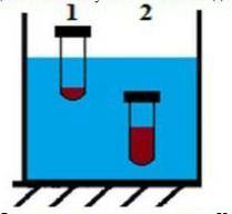 В сосуд с водой опущены две одинаковые пробирки с песком. Первая пробирка движется вверх, а вторая д