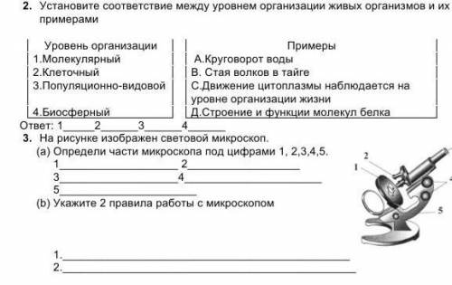 только можно нормальный ответ​