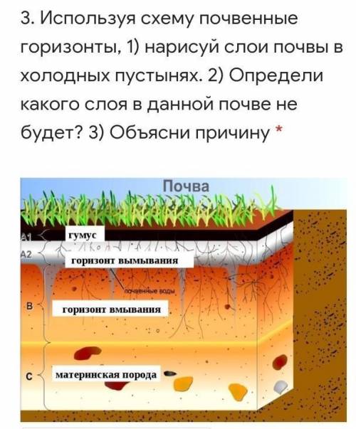 3. Используя схему почвенные горизонты, 1) нарисуй слои почвы в холодных пустынях. 2) Определи каког