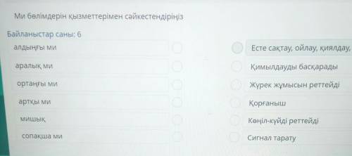 Ми бөлімдерін қызметтерімен сәйкестендіріңіз Байланыстар саны: 6алдыңғы миЕсте сақтау, ойлау, қиялда