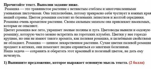 Прочитайте текст. Выполни задание ниже. Рамашка — это травянистое растение с ветвистым стеблем и мно