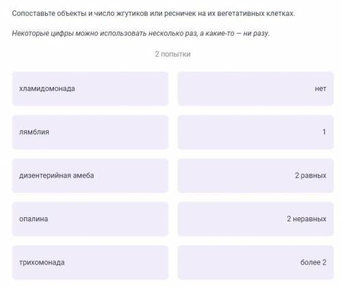 Сопоставьте объекты и число жгутиков или ресничек на их вегетативных клетках. Некоторые цифры можно