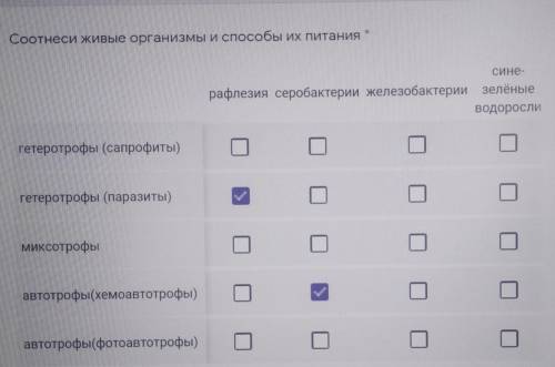 (если чо там ещё справа тополь просто он не влез)​