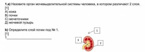 Биология СОЧответ..1.а)b)​