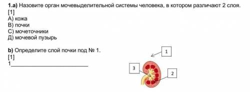 Биология СОЧответ..1.а)b)​