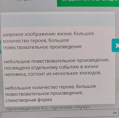 Определите признаки, соответствующиепроизведению И.С. Тургенева «Муму» ​