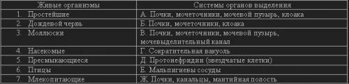 Найдите соответствие между живыми организмами и системами органов выделения