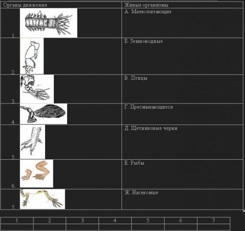 Найдите соответствие между органами движения и живыми организмами