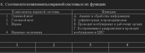 Соотнесите компоненты нервной системы и их функции