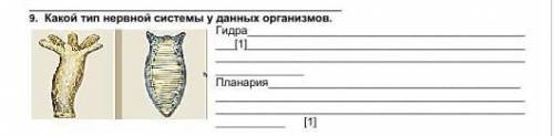 . Какой тип нервной системы у данных организмов. ГидраПланария ​