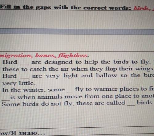 Migration, bones, flightless. 1) Bird are designed to help the birds tothese to catch the air when t