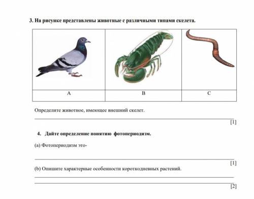 1. (а) Определите органы выделения жука и собаки. Жук Собака A. Антеннальные почки Мочеточники B. По