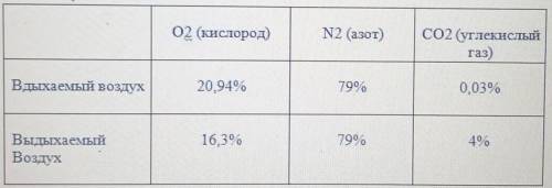 Познакомься с информацией о составе вдыхаемого и выдыхаемого воздуха. Какие выводы можно сделать на