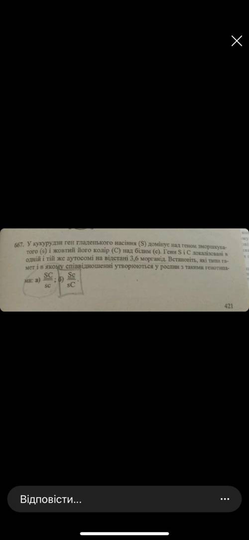 У кукурудзи ген гладенького насіння (S) домінує над геном зморшкуватого (s) і жовтий його колір (С)