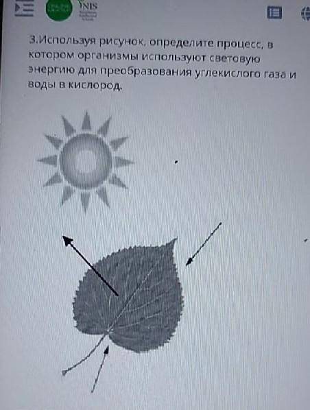 3. Используя рисунок, определите процесс, в котором организмы используют световую энергию для преобр