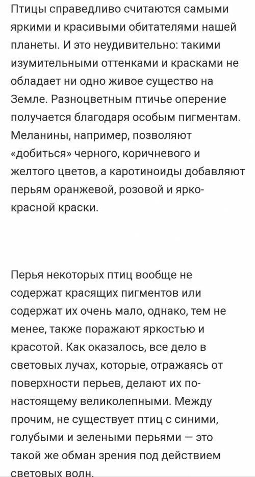 Благодаря чему перья птиц становятся очень яркими и какова основная цель этого?​