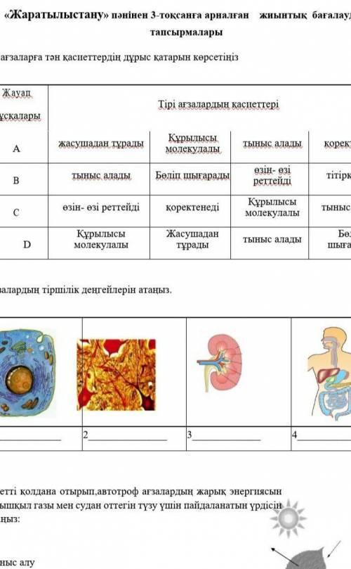 Жаратылыстану тжб помагите ​