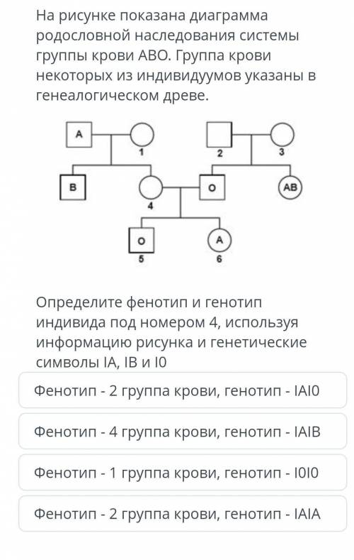 определите фенотип и генотип.​