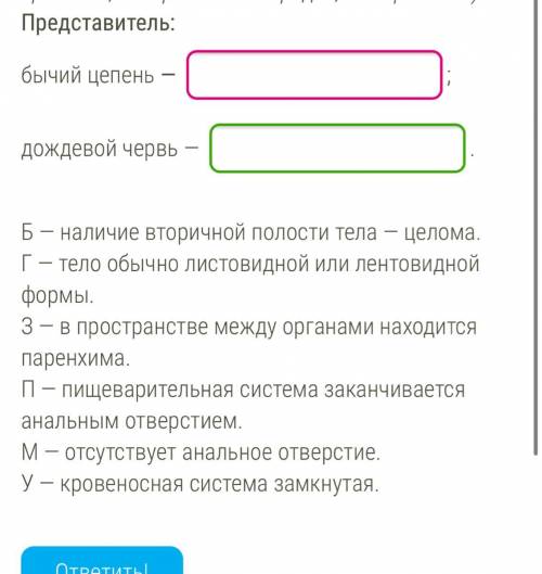 Установите соответствия между признаками и представителем для которого они характерны